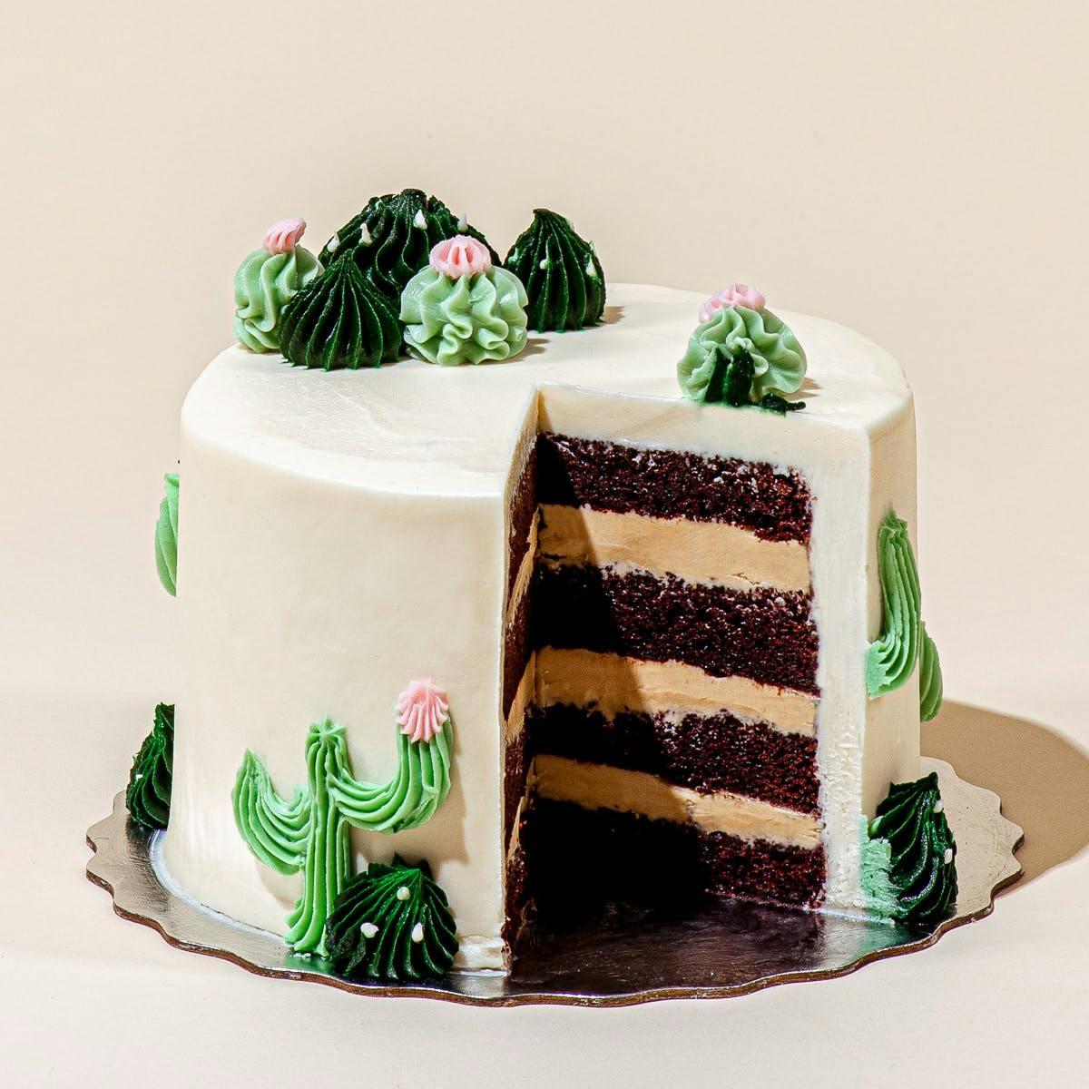 Cactus Cake | Sheet cake designs, Fiesta cake, Cool birthday cakes