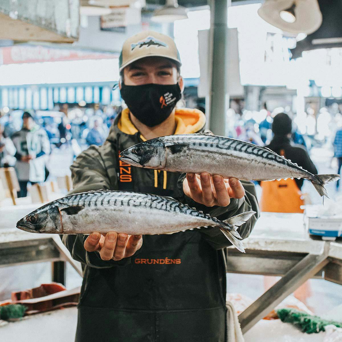 mackerel fish for sale near me