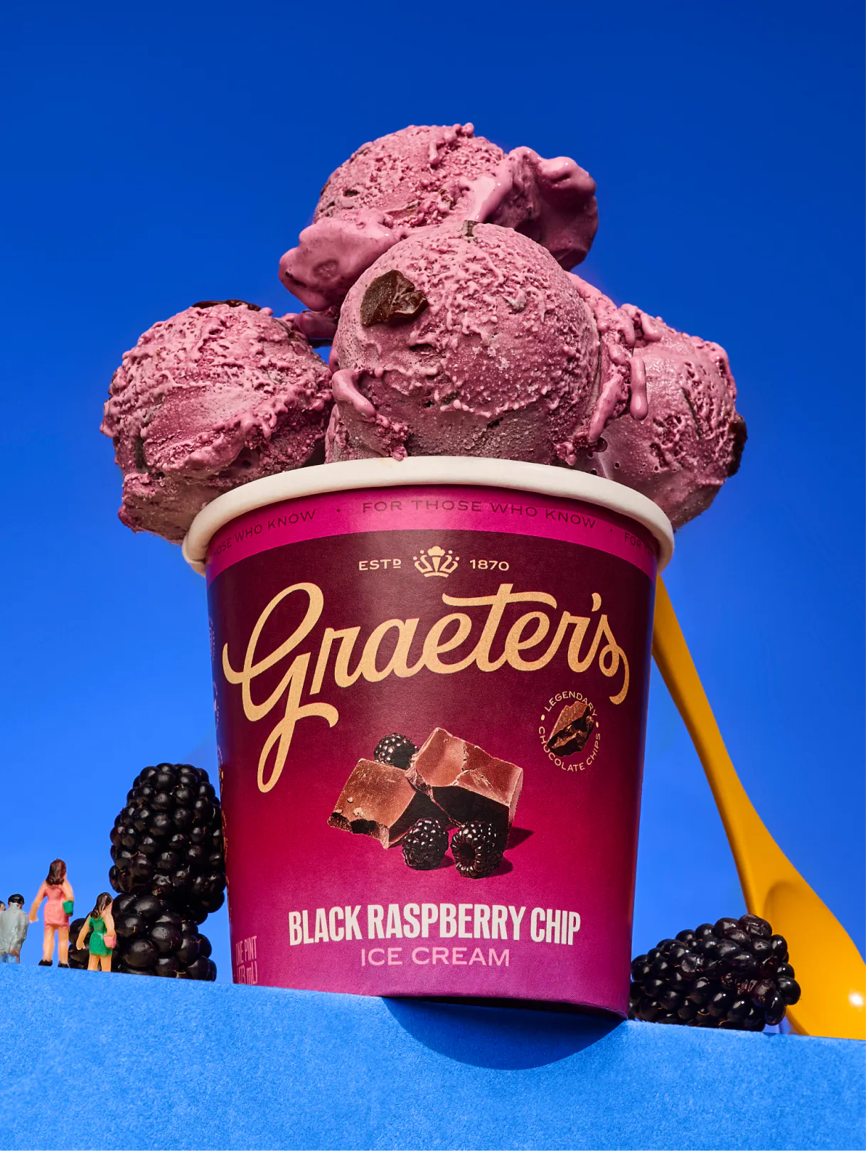 Graeter's Black Raspberry Chip Ice Cream