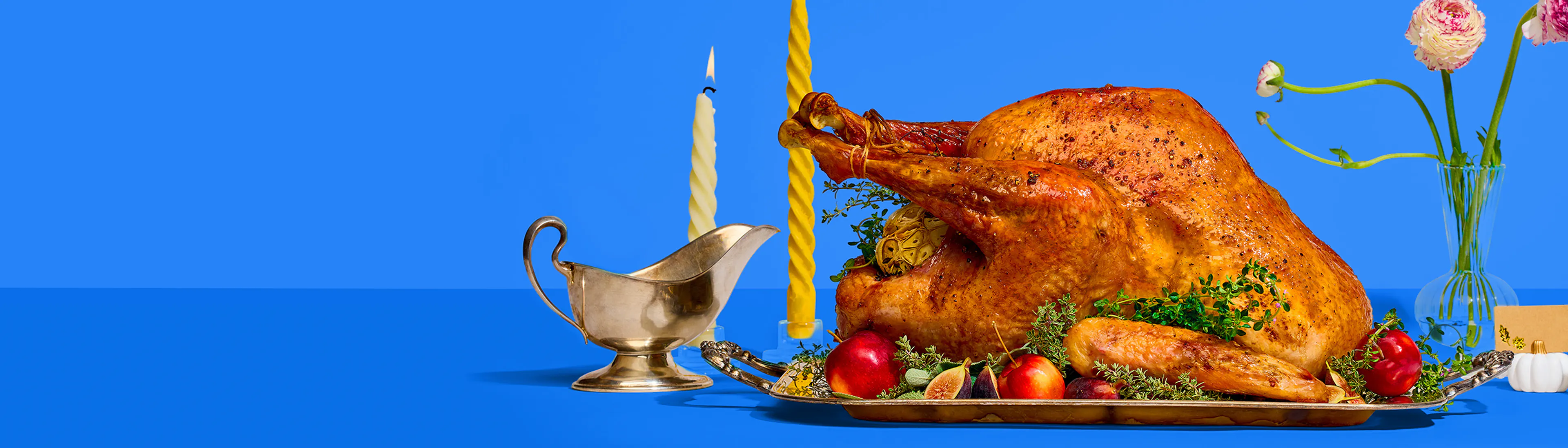 Turkeys &<BR>Turduckens