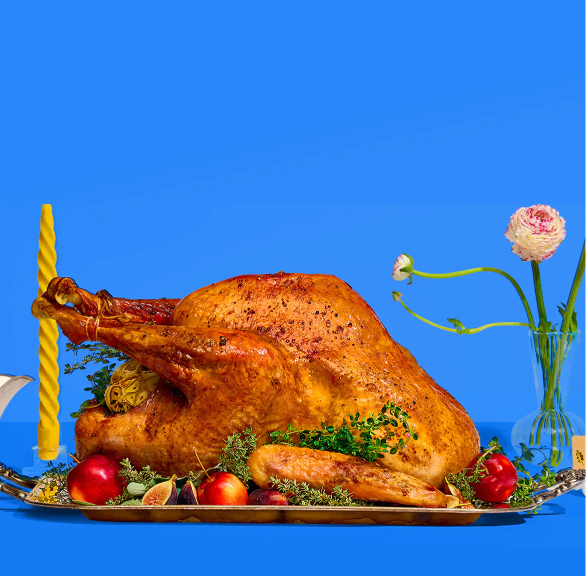 Turkeys &<BR>Turduckens
