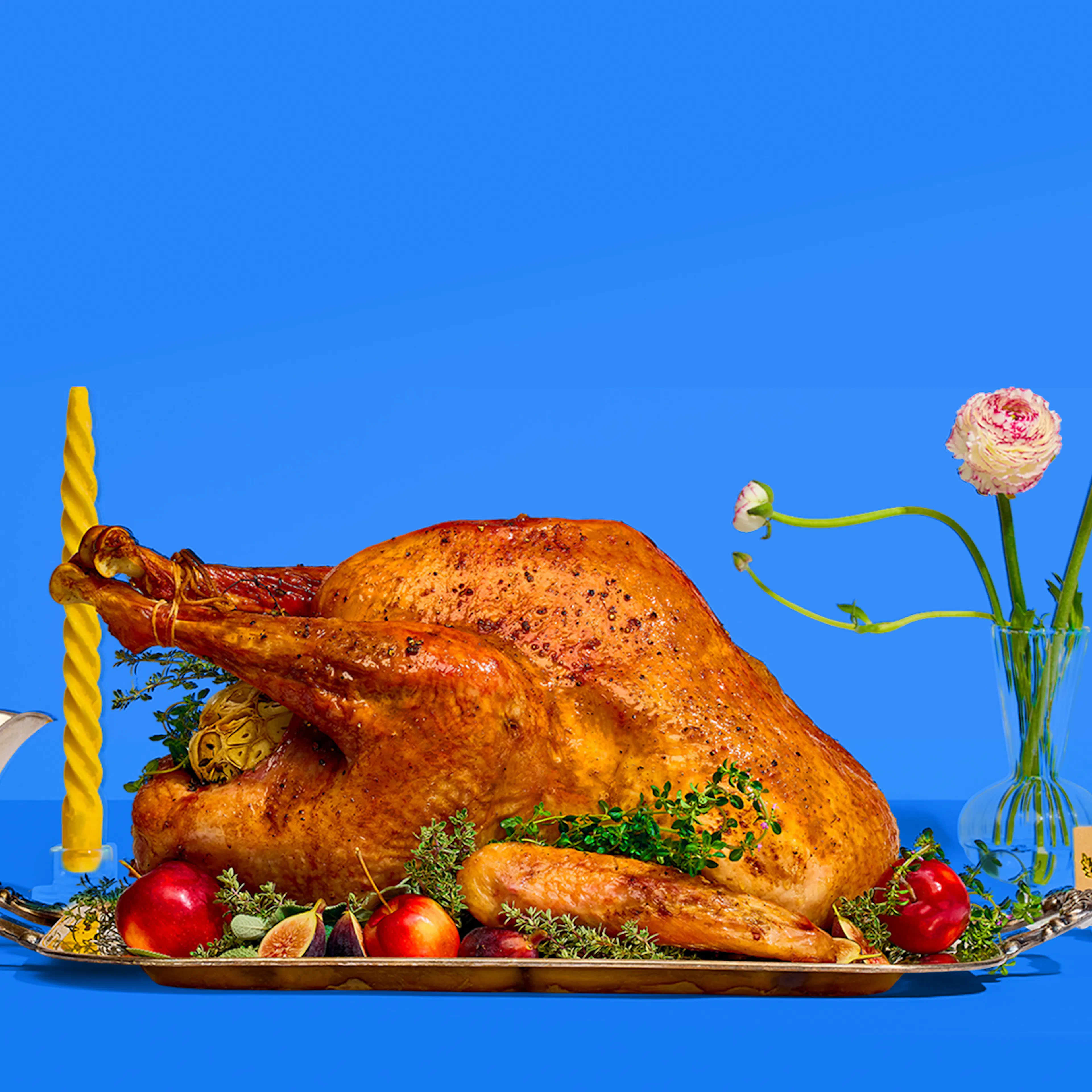 Turkeys &<BR>Turduckens