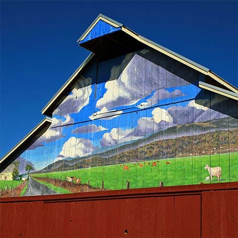 Cypress Grove Cheese