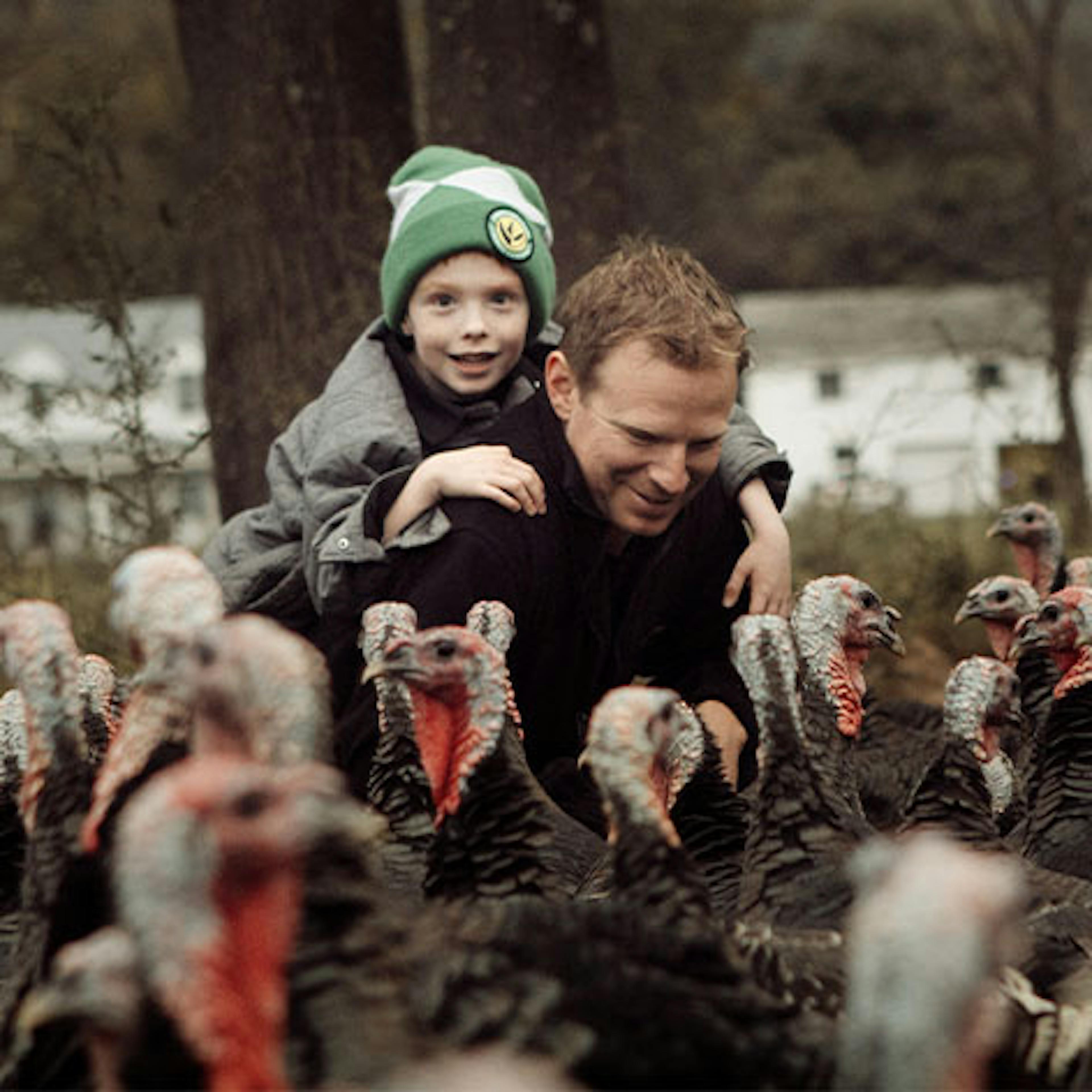 KellyBronze Turkeys