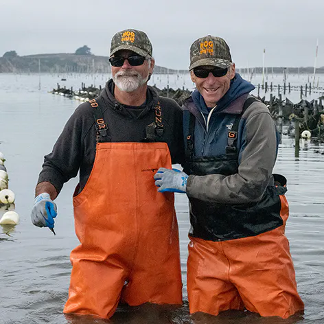 Hog Island Oyster Co.