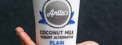 Anita's Yogurt
