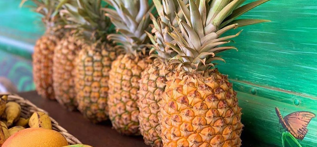 One-Time Pineapple Shipment (Includes Shipping)