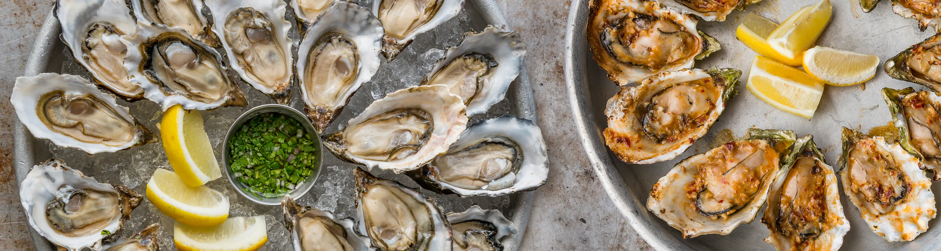 Hog Island Oyster Co.