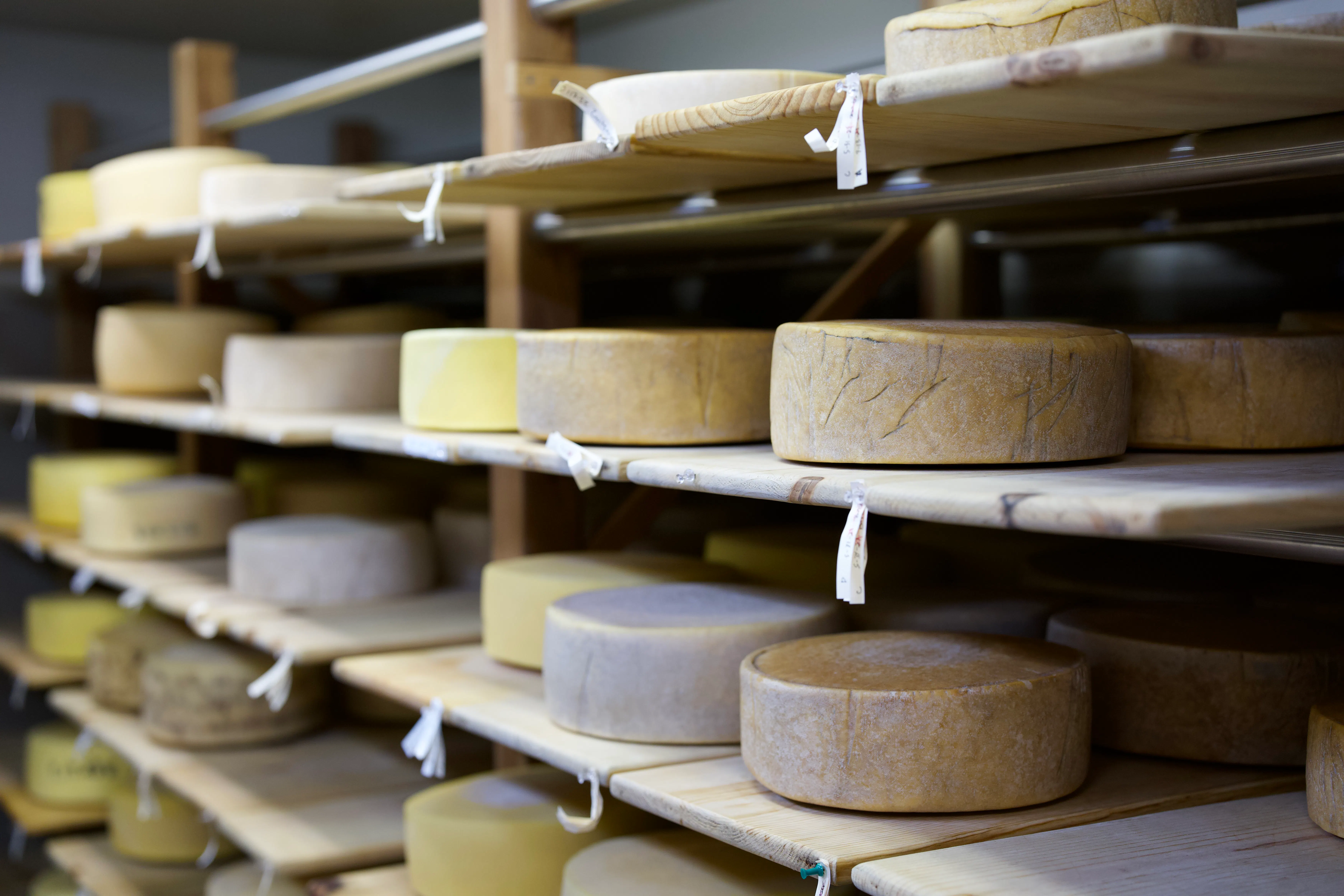 Hemsley Ranch Creamery