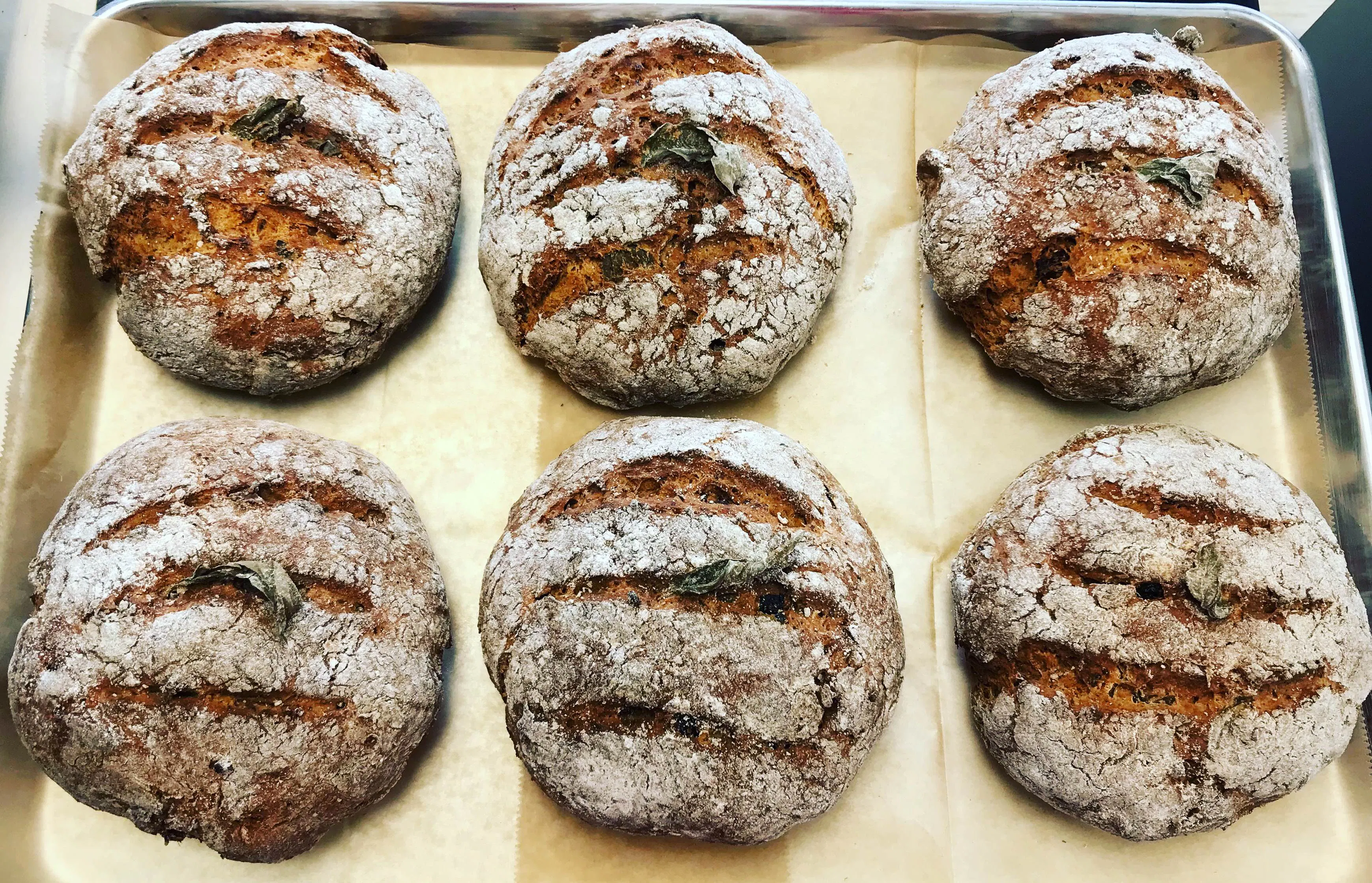 7 Muffins A Day