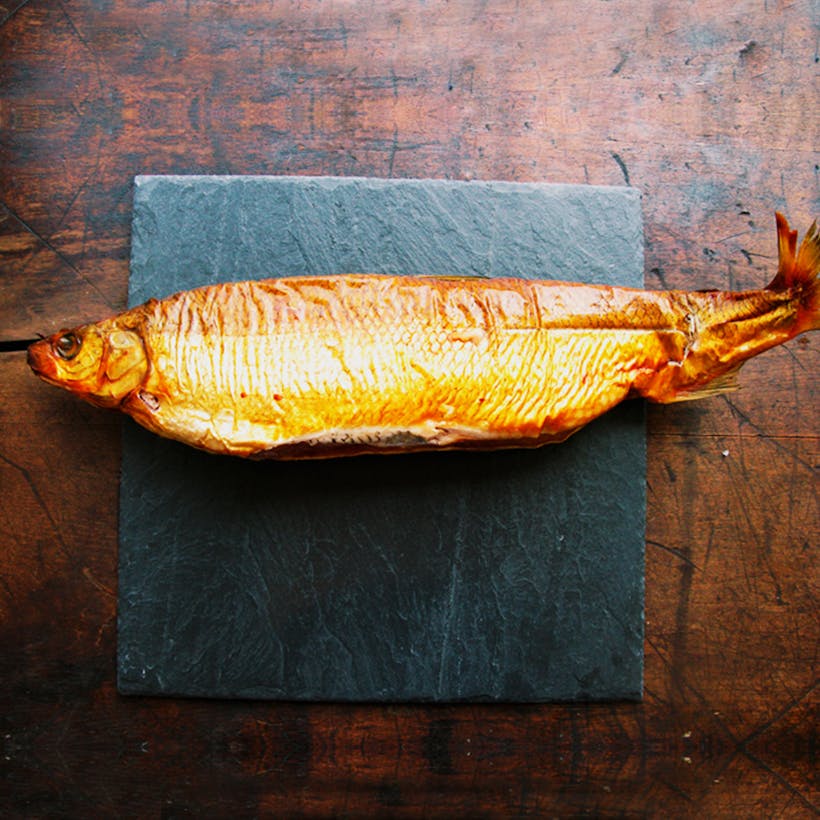 Whitefish