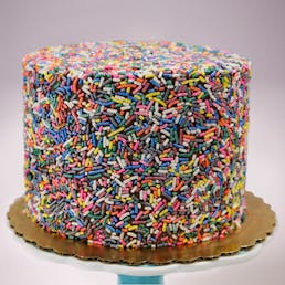 Chocolate Fudge Rainbow Cake