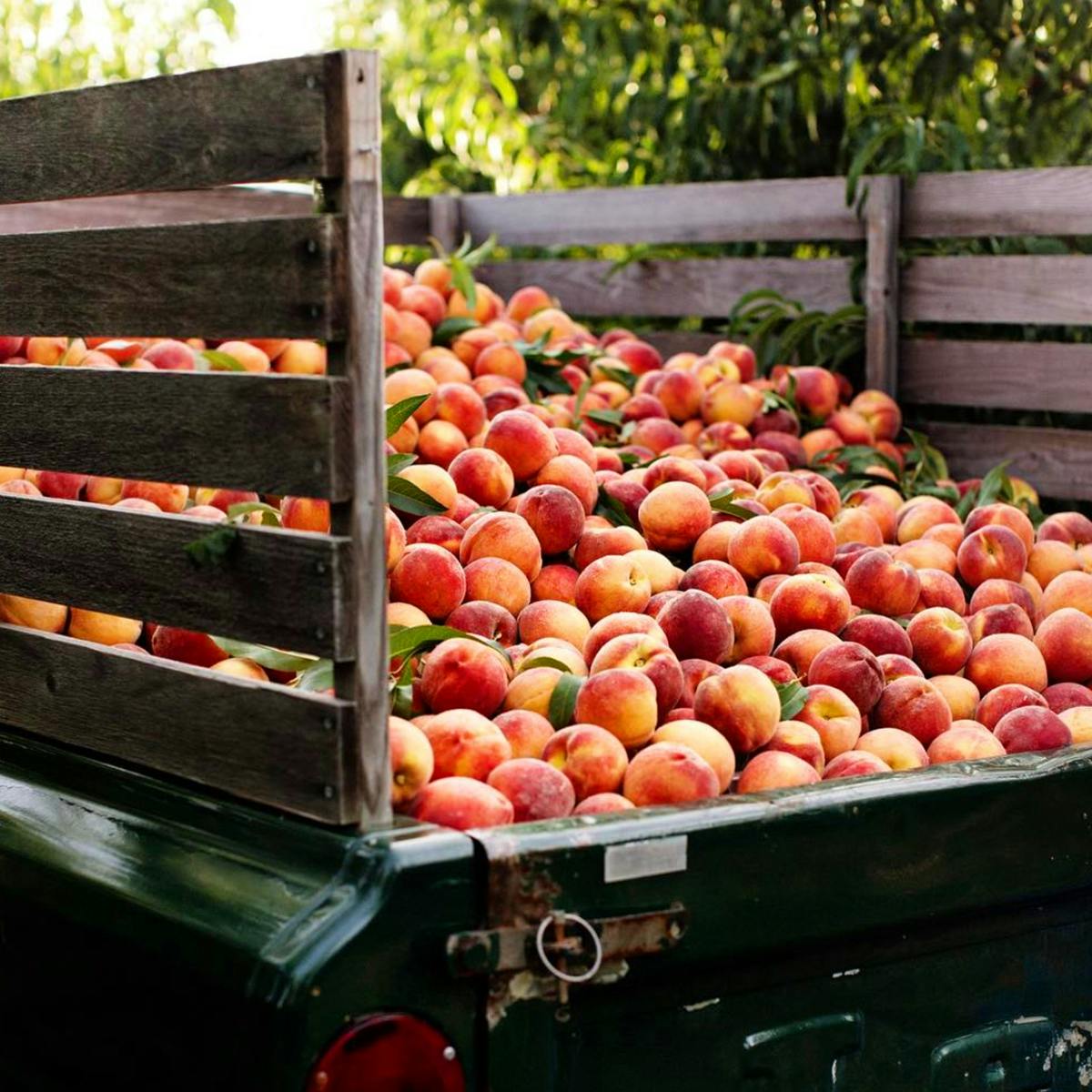 The Peach Truck Gift Box By The Peach Truck Goldbelly,Travel Bar