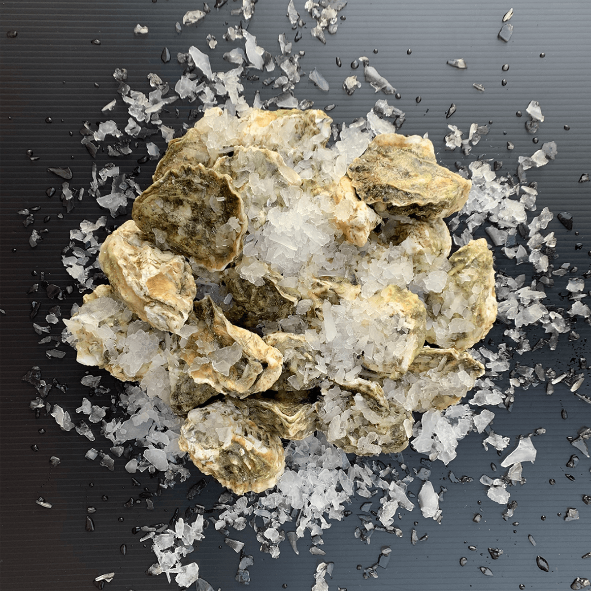 Kumamoto Oysters Live, Fresh, 1 dozen by Pike Place Fish Market