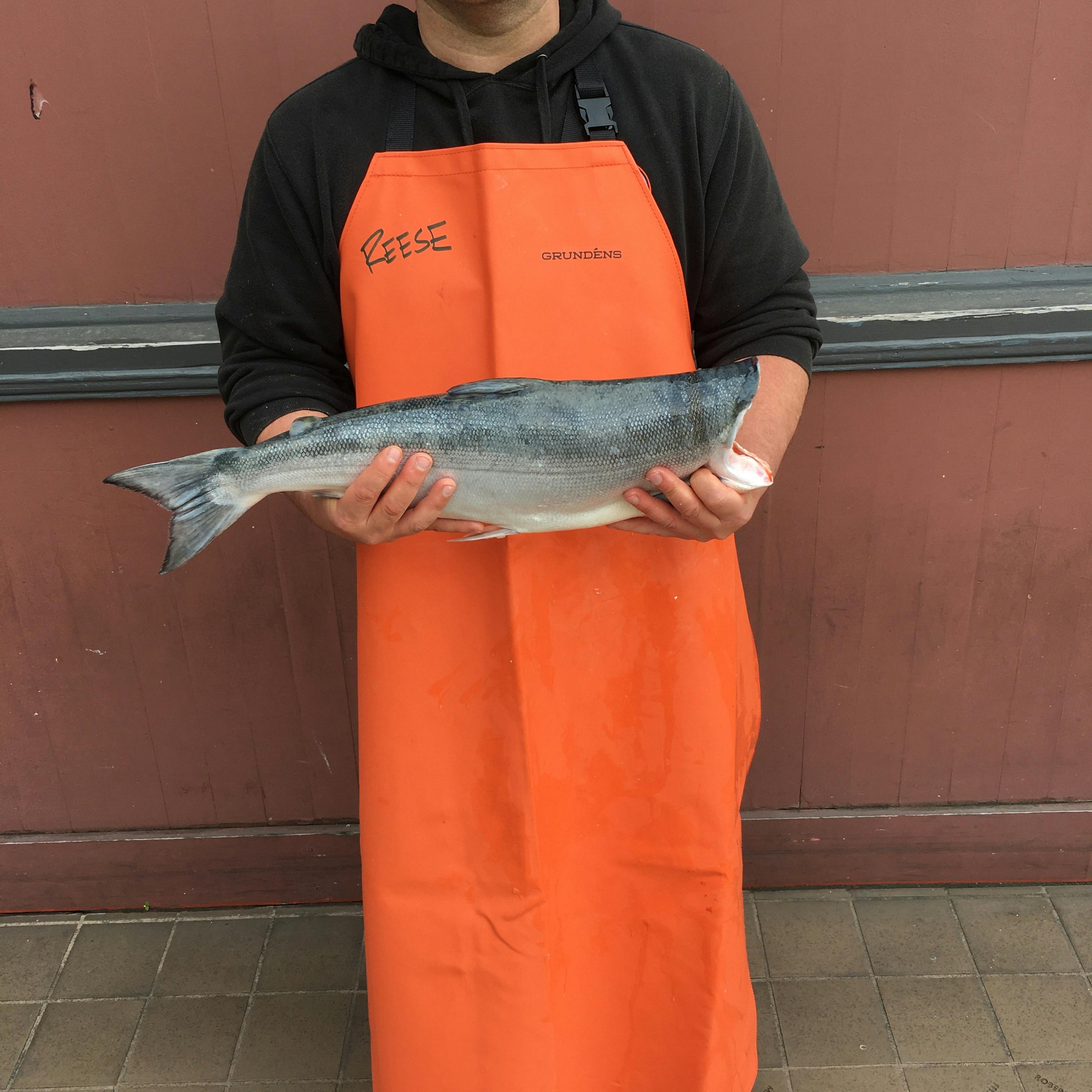 Copper River Sockeye Salmon Whole Fish, Fresh, 4 lbs by Pike Place Fish Market Goldbelly