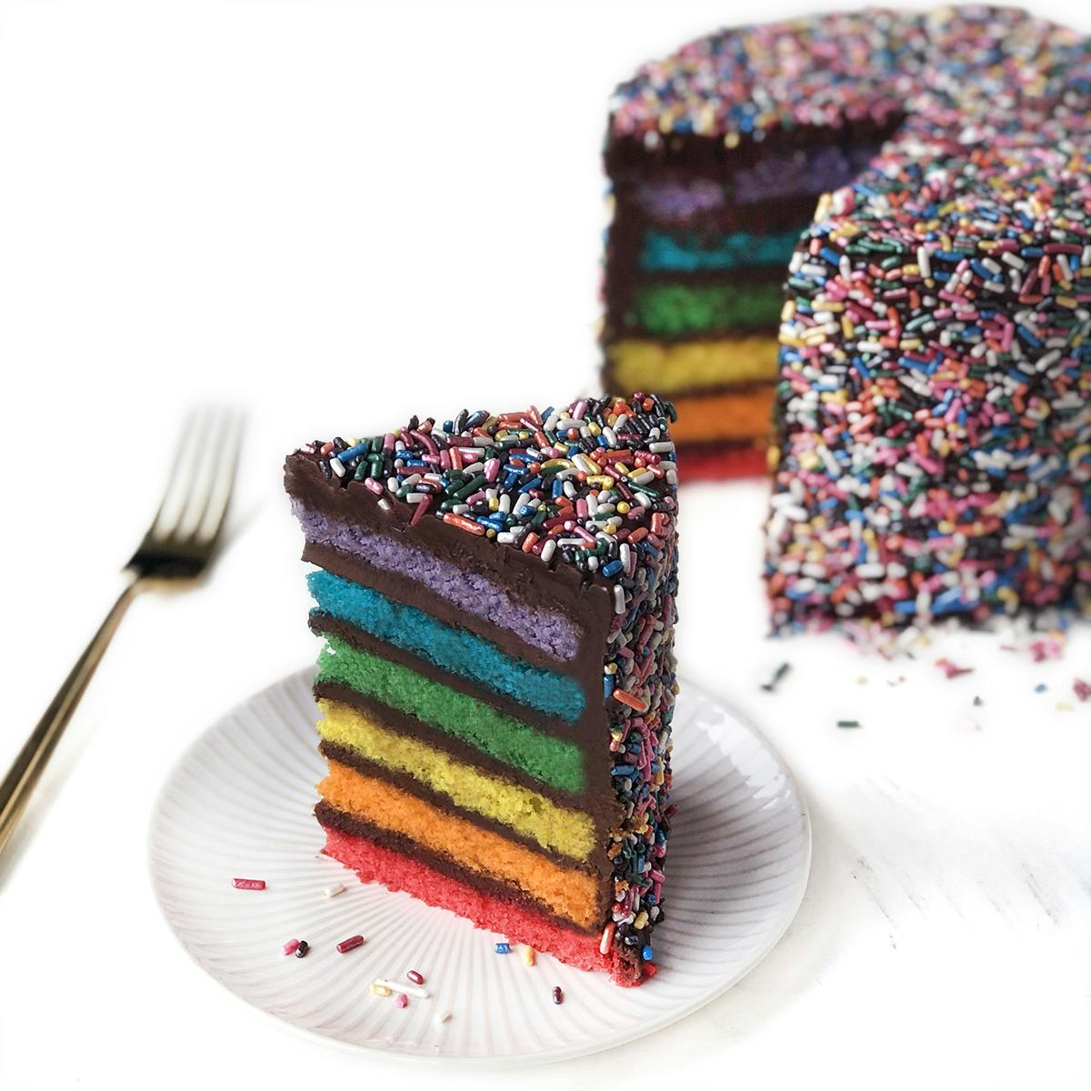 Chocolate Fudge Rainbow Cake Bogo By Carlo S Bakery Goldbelly