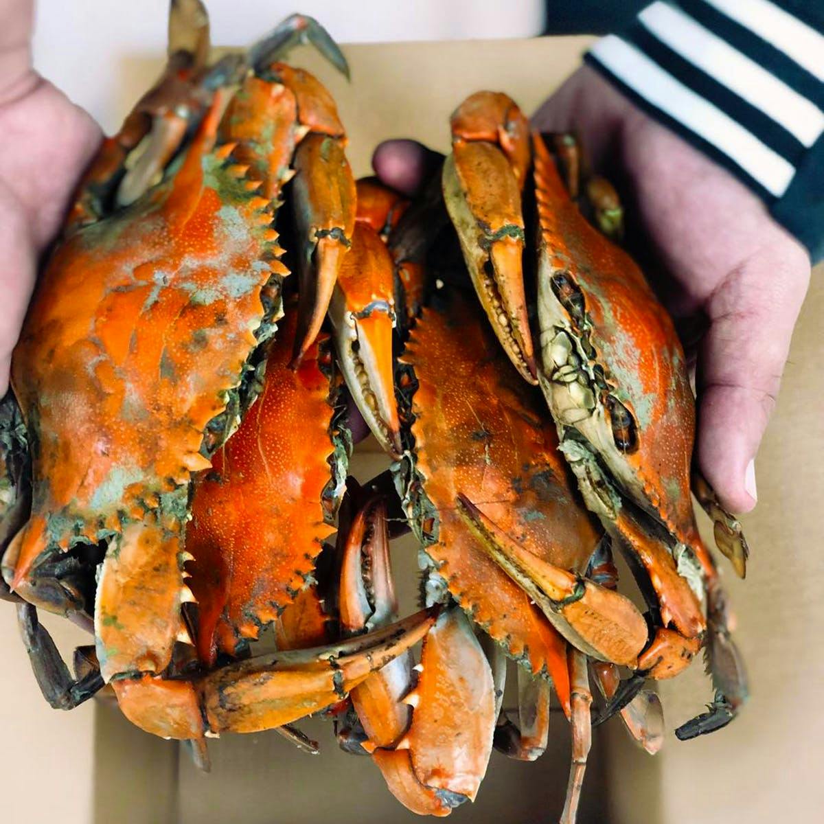 Standard Male Maryland Blue Crabs - 1/2 Bushel By Cameron's Seafood ...