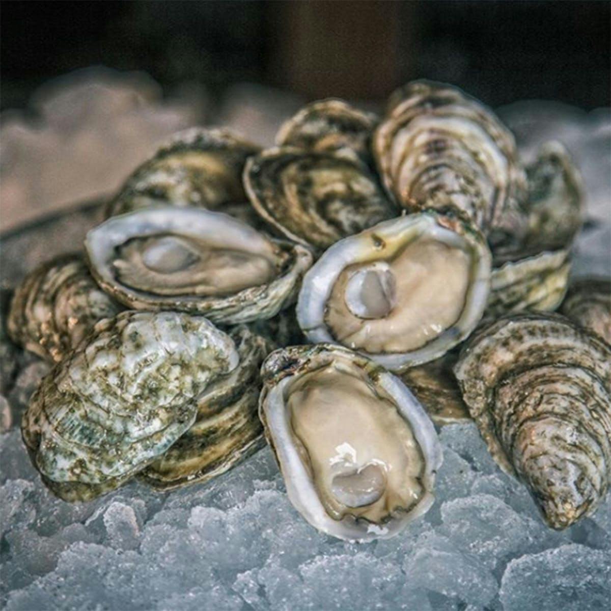 White Stone Oysters - 50 Pack by White Stone Oyster Company - Alternate image 3