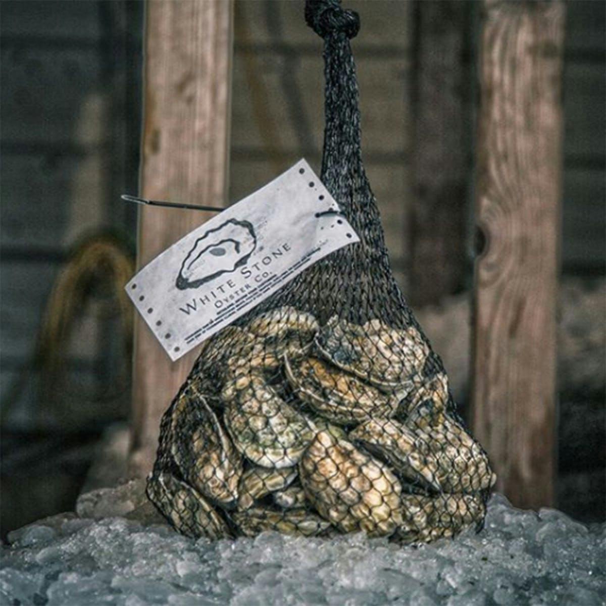 White Stone Oysters - 50 Pack by White Stone Oyster Company - Alternate image 1