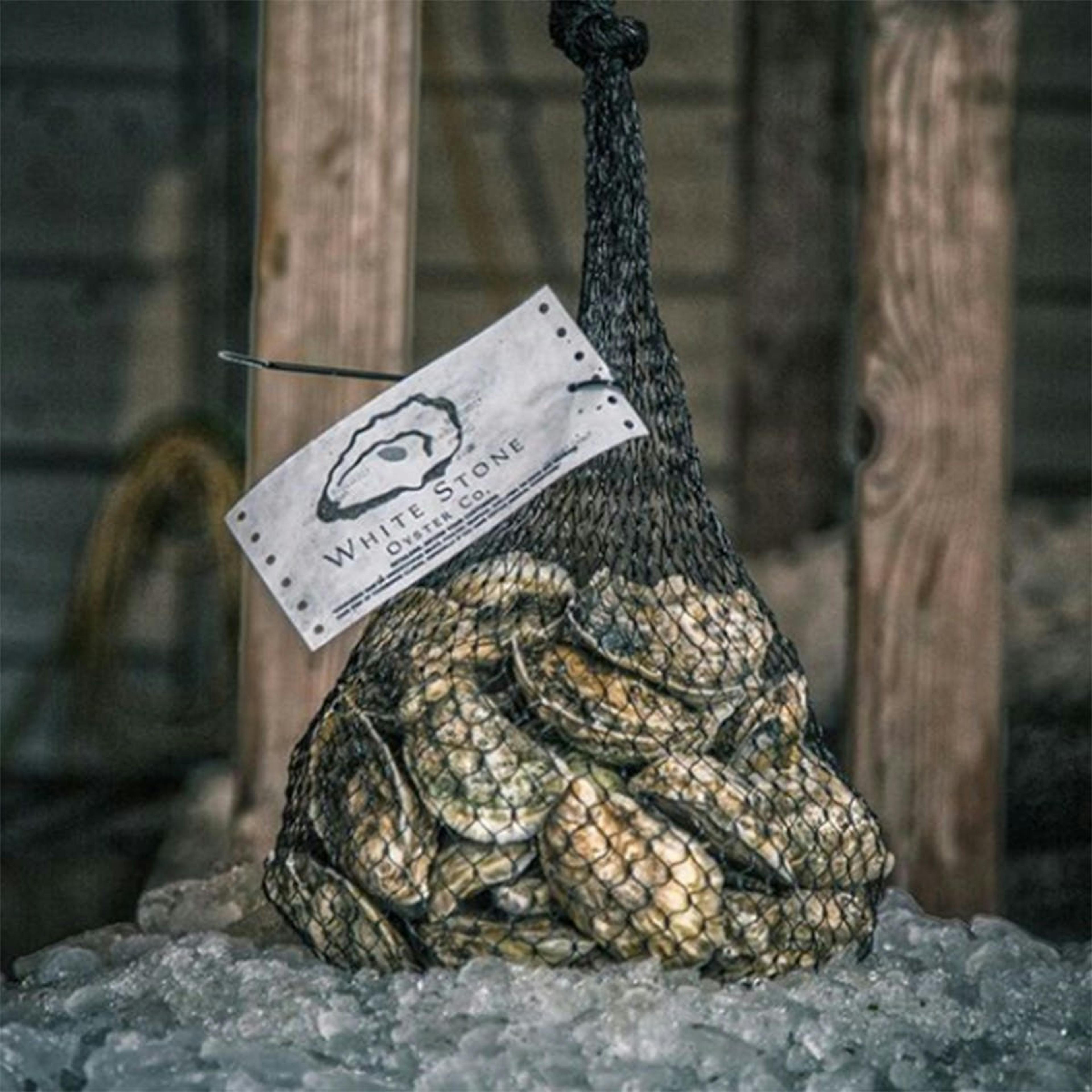 White Stone Oysters - 100 Pack by White Stone Oyster Company - Alternate image 1