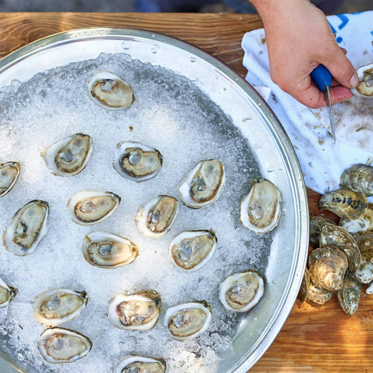 White Stone Oysters - 100 Pack by White Stone Oyster Company - Alternate image 2