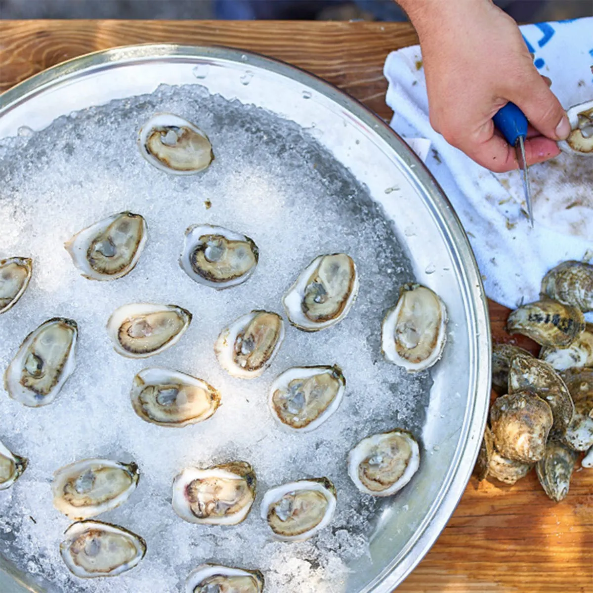 White Stone Oysters - 100 Pack by White Stone Oyster Company 