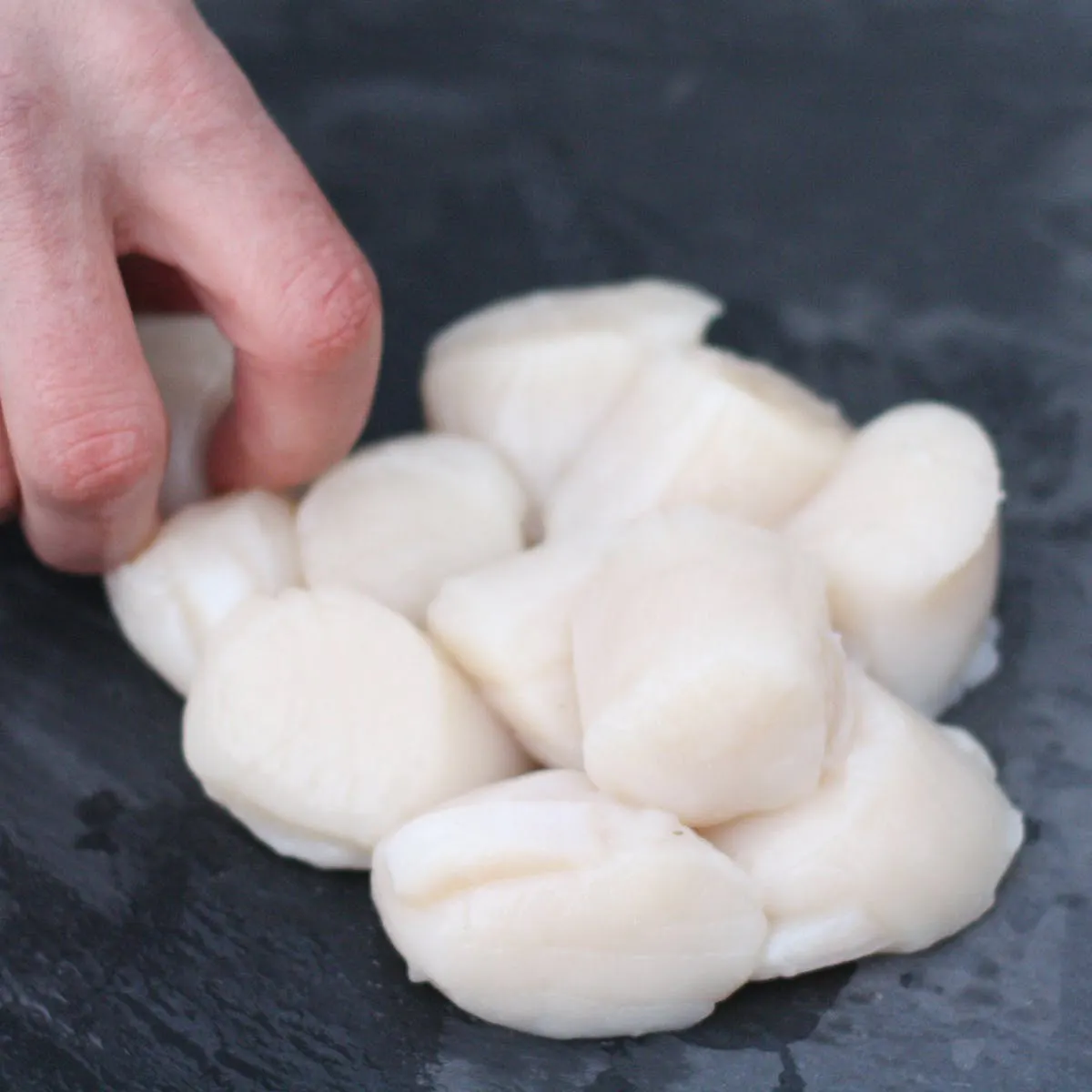 Wellfleet Shellfish Co. - Day Boat Sea Scallops - 3 lbs.