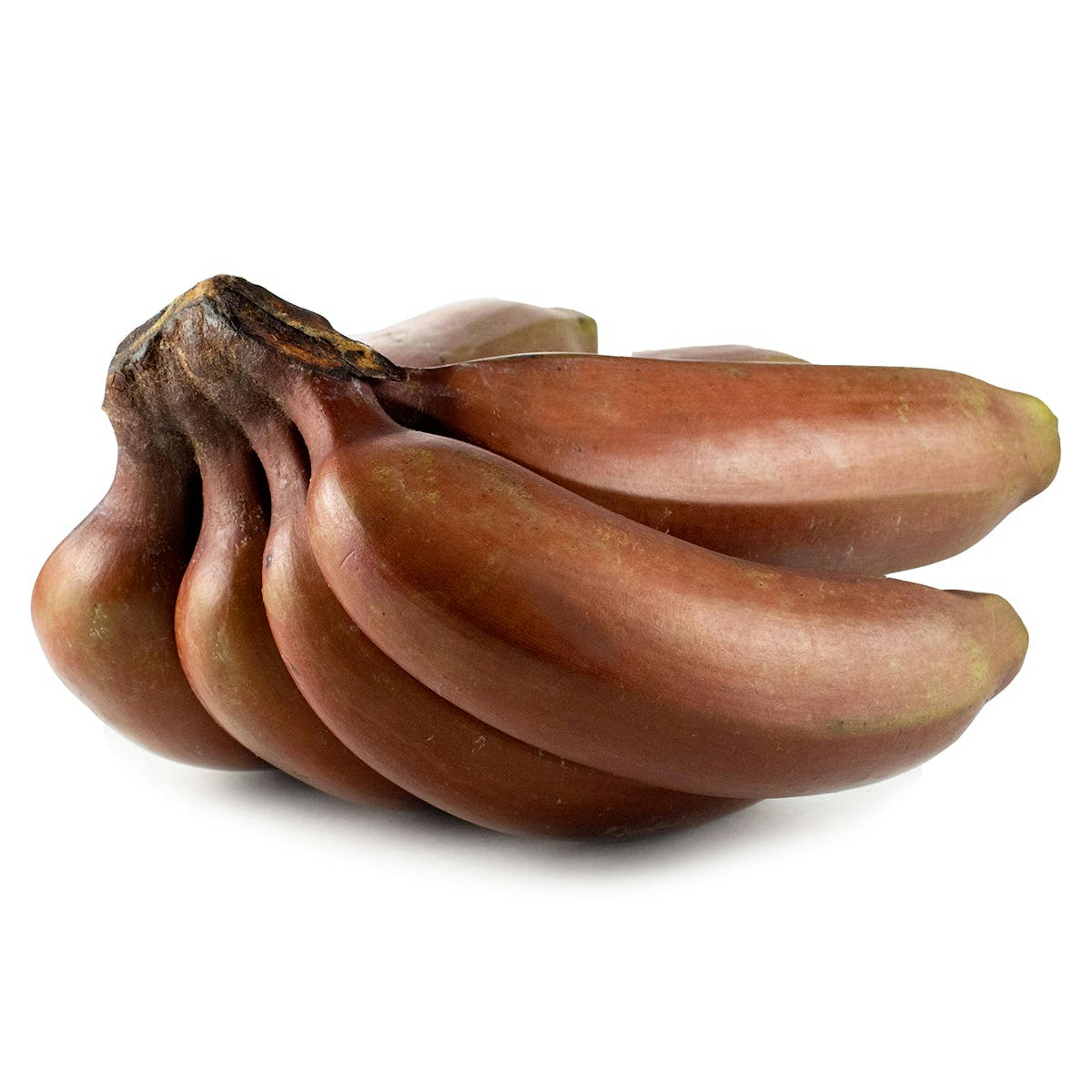 Banana Sampler by Melissa's Produce - Alternate image 1