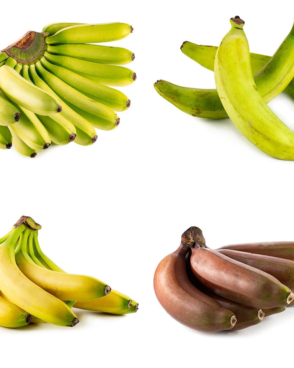 Baby Bananas — Melissas Produce