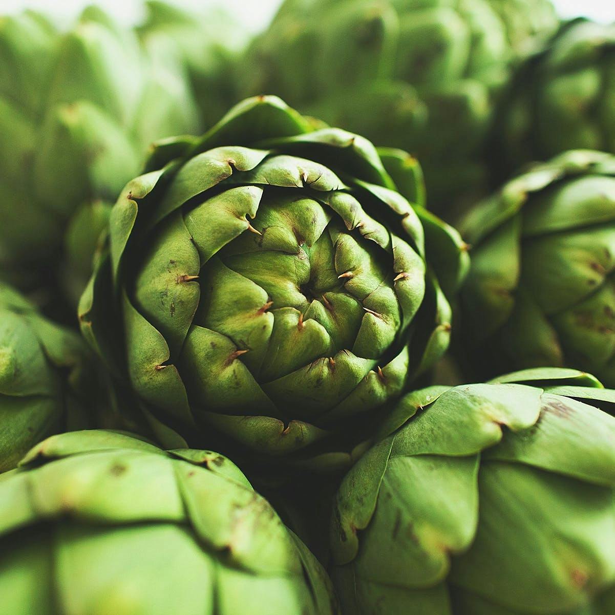 Fresh Medium Artichokes - 8 Pack by Ocean Mist Farms - Alternate image 1