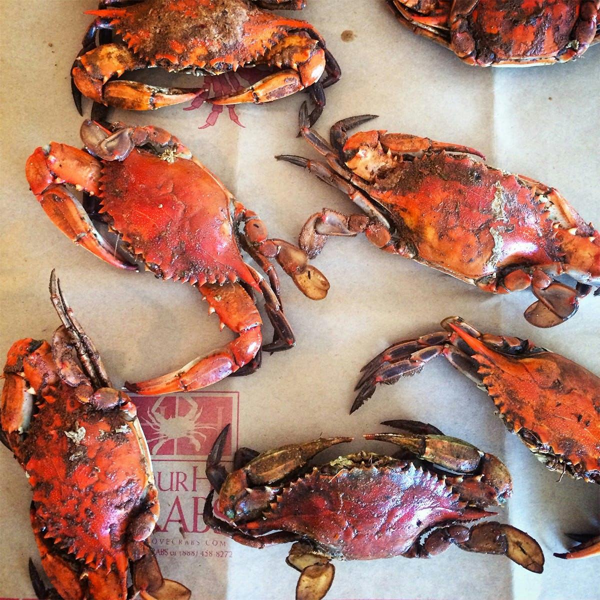 Obrycki’s Premium Hardshell Crabs by Harbour House Crabs - Alternate image 4
