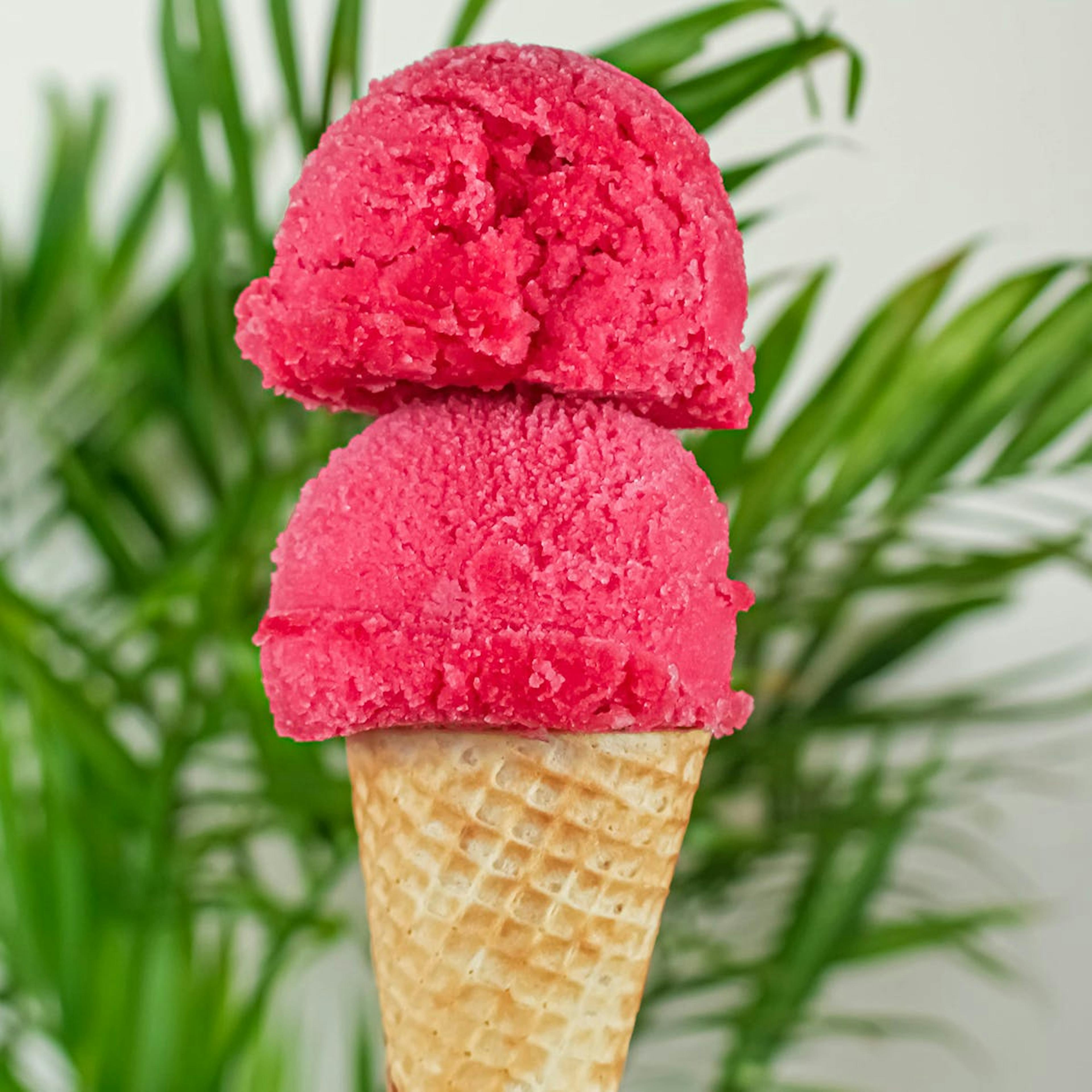 Ice Cream & Sorbet Best Seller - 4 Pints by Island Pops - Alternate image 1