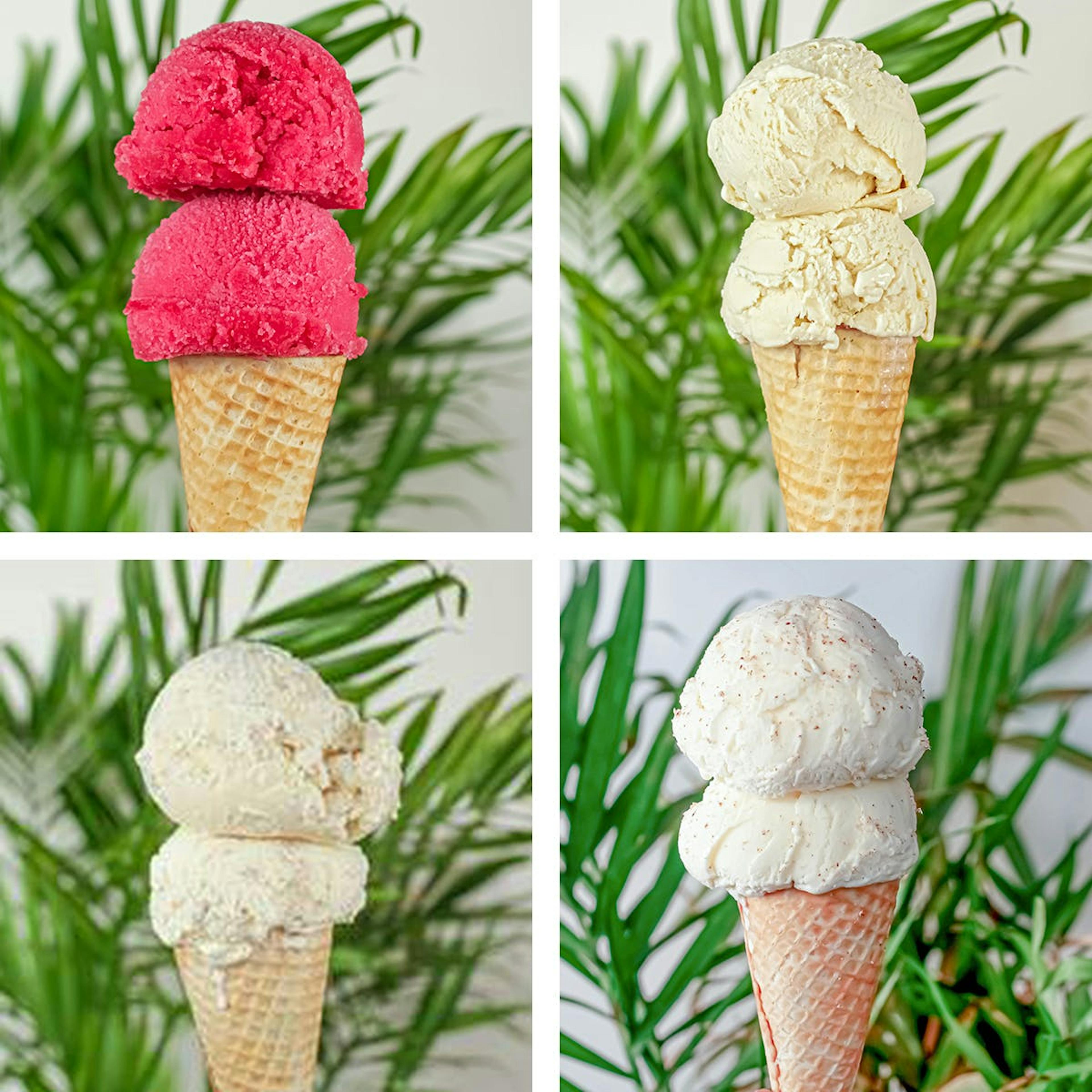 Ice Cream & Sorbet Best Seller - 4 Pints by Island Pops
