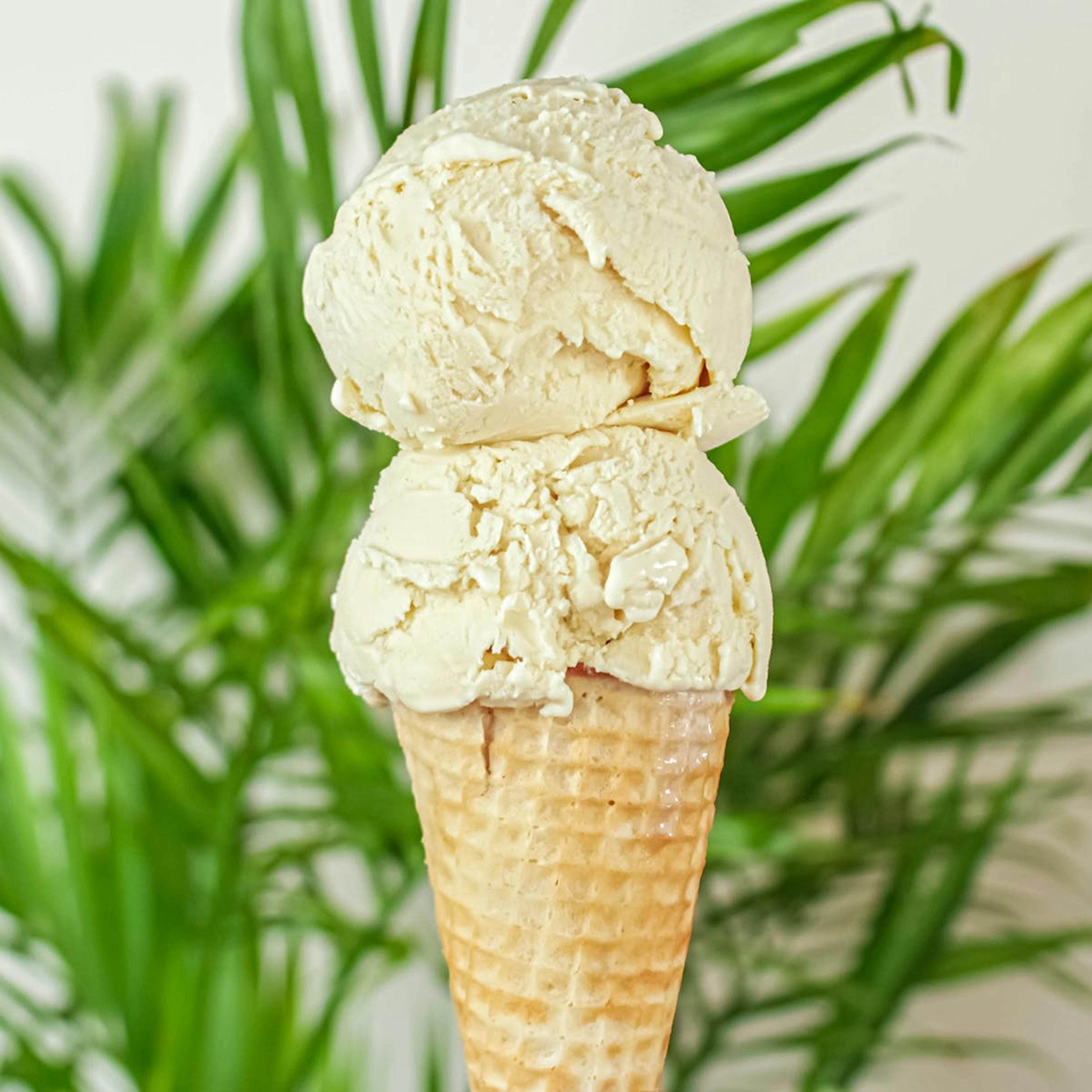 Ice Cream & Sorbet Best Seller - 4 Pints by Island Pops - Alternate image 4