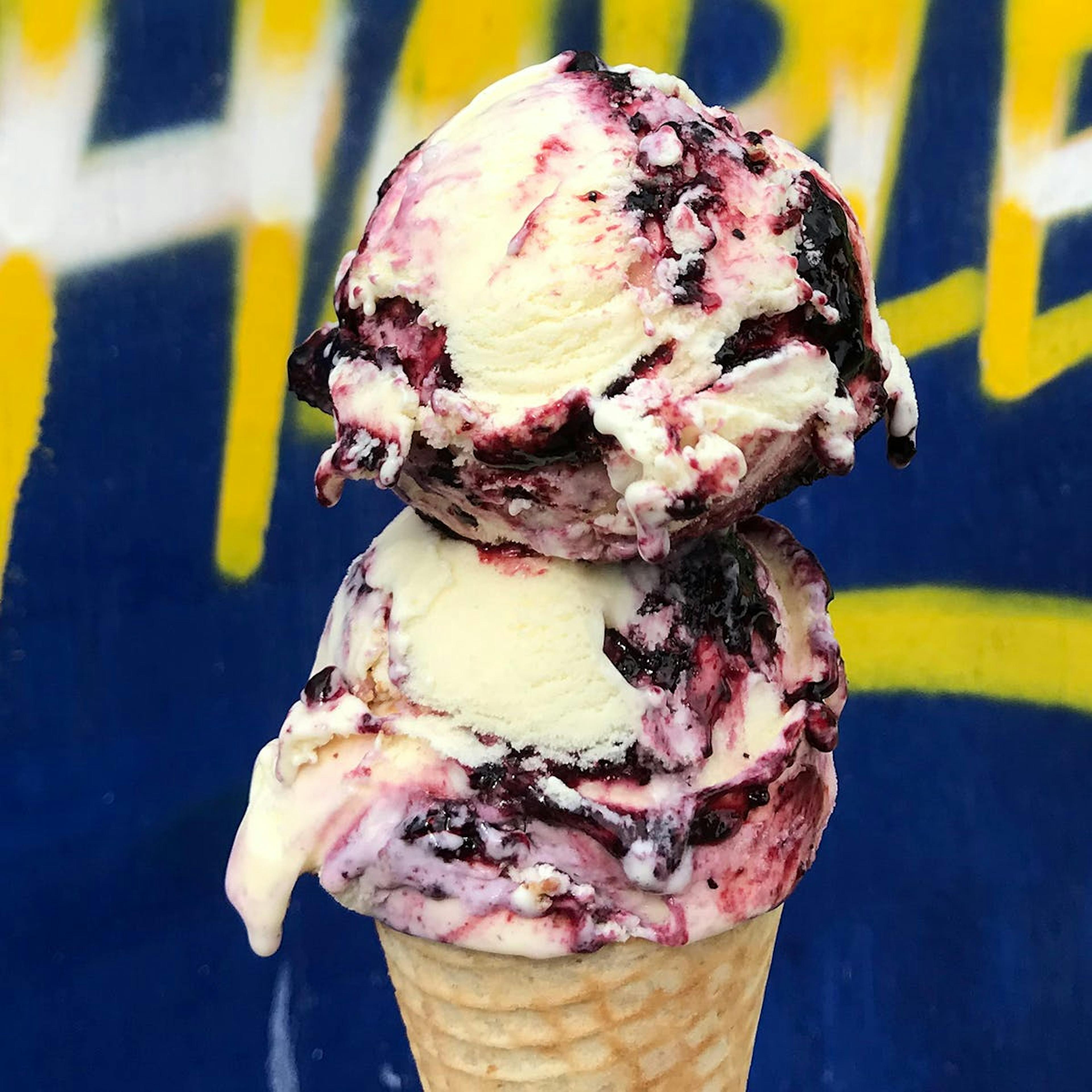 Chairperson of the Board Blueberry Cream Cheese Ice Cream - 4 Pints by Sugar Hill Creamery - Alternate image 2