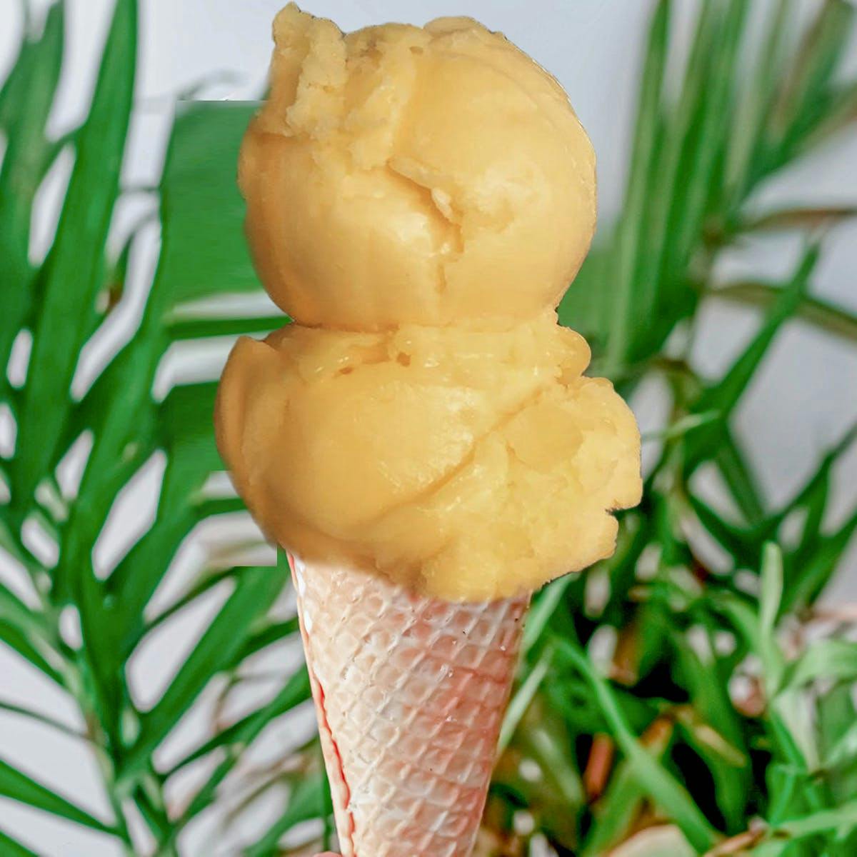 Ice Cream & Sorbet - Choose Your Own 4 Pints by Island Pops - Alternate image 4