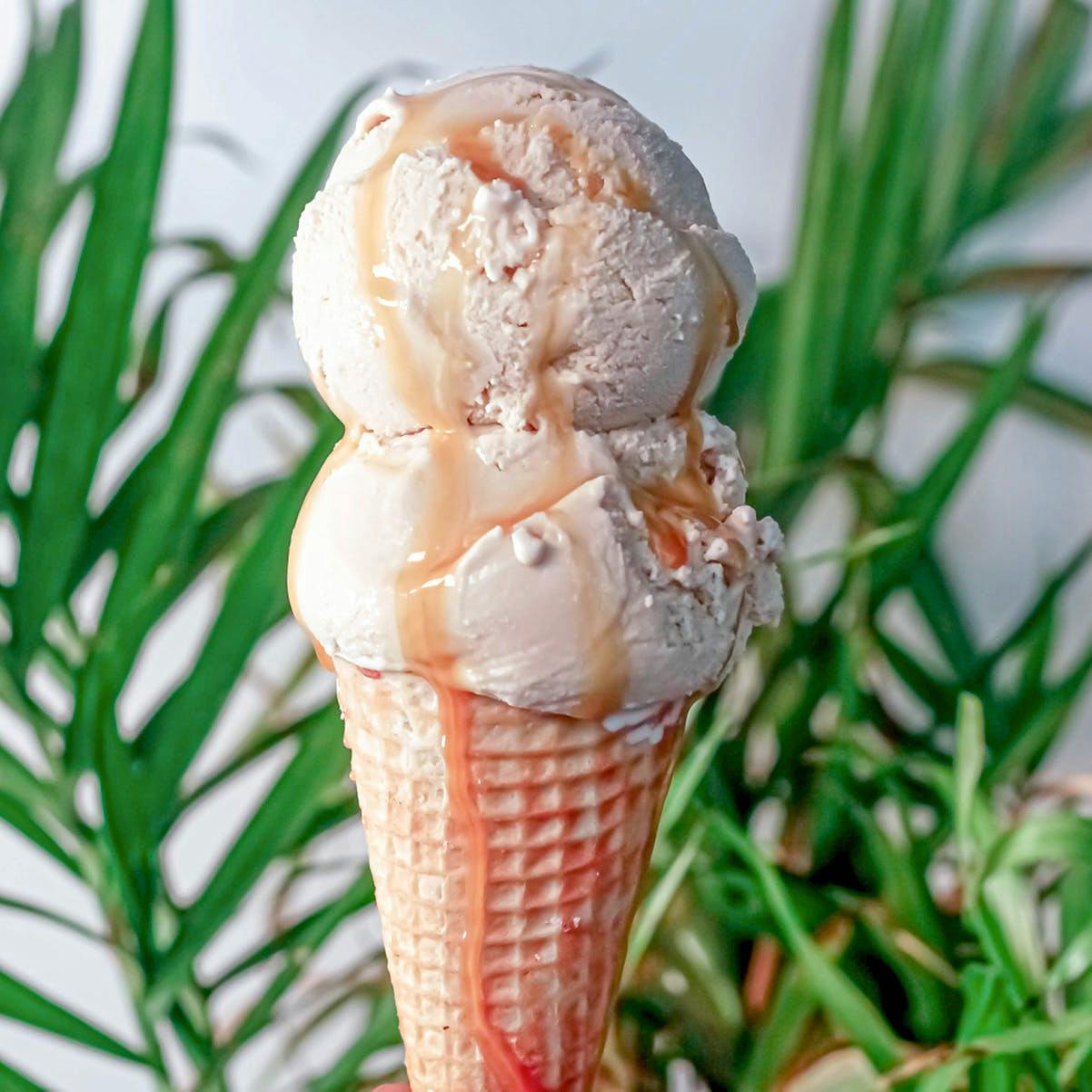 Ice Cream & Sorbet - Choose Your Own 4 Pints by Island Pops - Alternate image 8