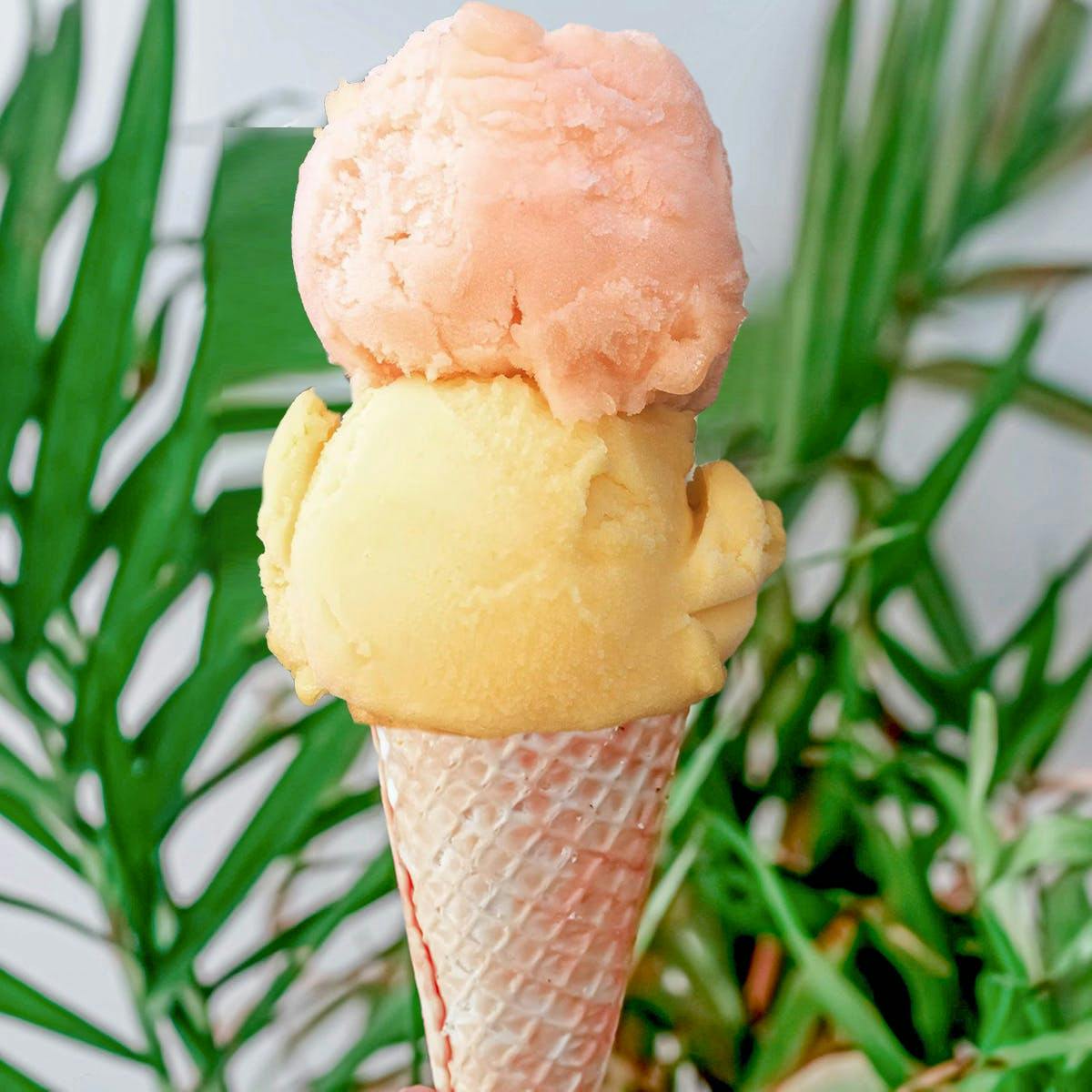 Ice Cream & Sorbet - Choose Your Own 4 Pints by Island Pops - Alternate image 1