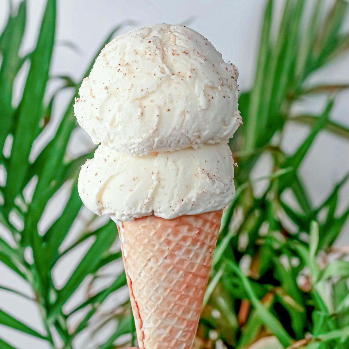 10 Delicious Ice Cream and Frozen Treat Spots in Los Angeles - The New York  Times