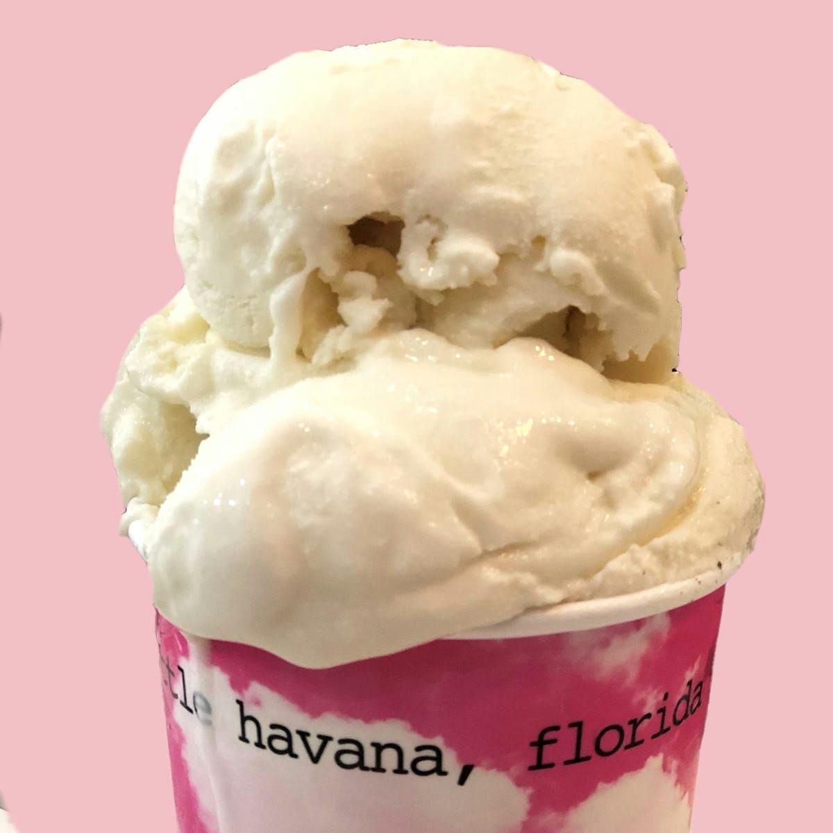 Coconut Ice Cream - 6 Pints by Azucar Ice Cream