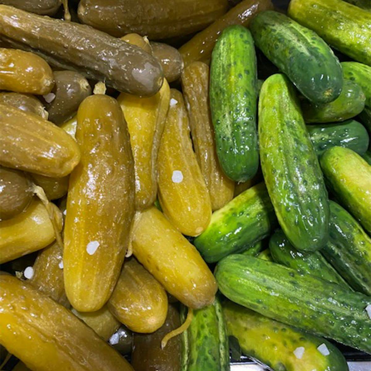 Kosher Pastrami + Corned Beef Sandwich Kit for 2-4 by Lido Kosher Deli - Alternate image 3