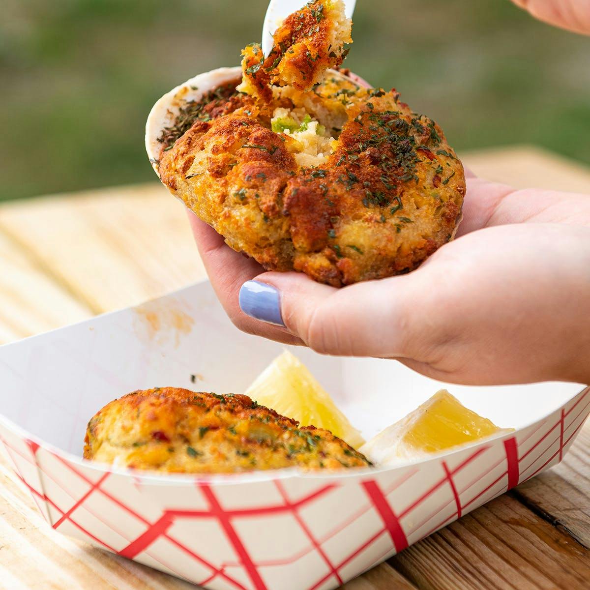 Clam Stuffies - 12 Pack by Iggy's - Alternate image 2