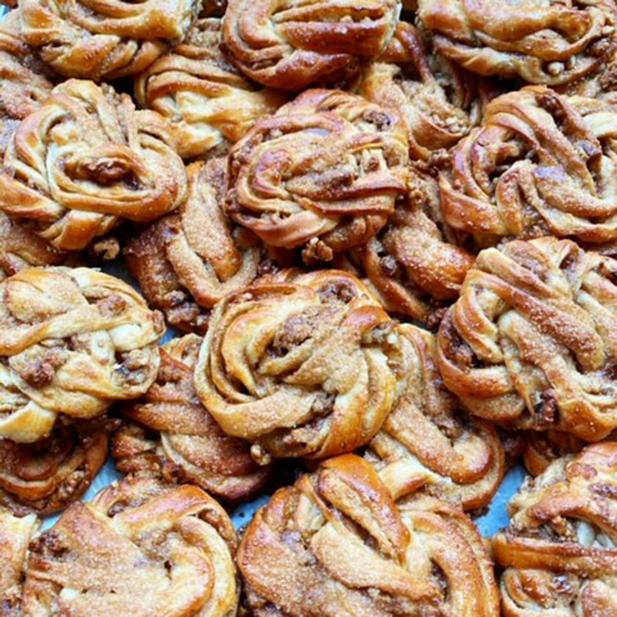 Bars + Buns - Choose Your Own 24 Pack by Fabrique Bakery - Alternate image 1