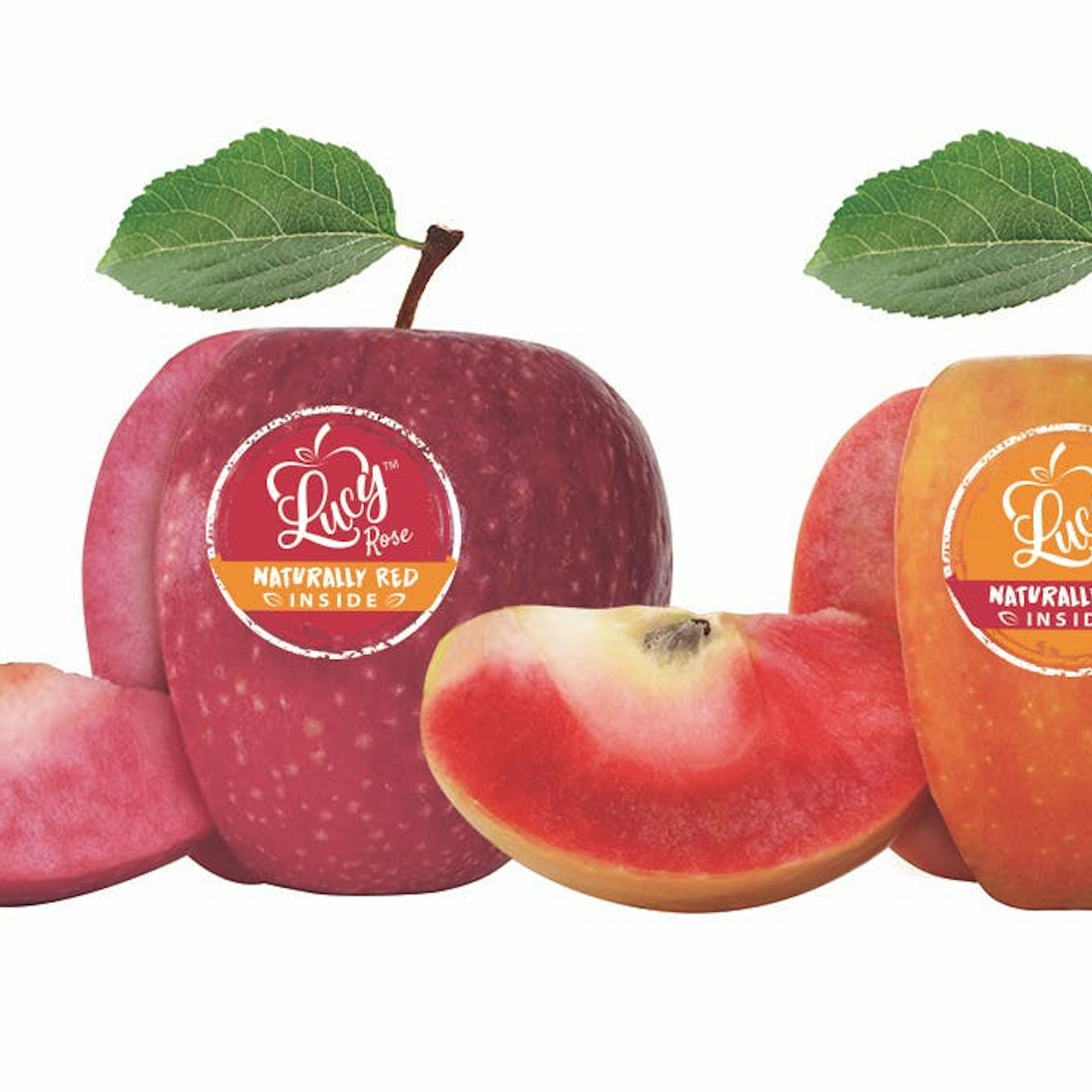 Lucy™ Rose + Lucy™ Glo Combo - Dozen by Chelan Fresh Farms - Alternate image 4