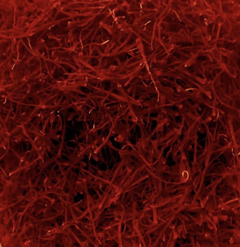 Saffron Buns - 6 Pack by Fabrique Bakery - Alternate image 3