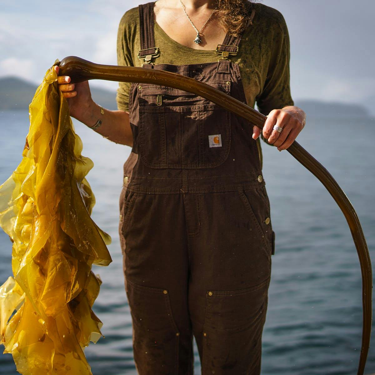 Kelp Seasonings Sampler - 4 Pack by Barnacle Foods - Alternate image 3