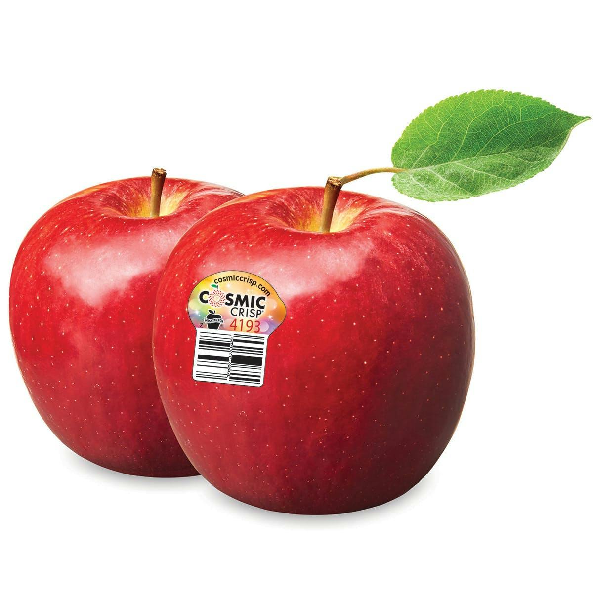 Raw Red Organic Cosmic Crisp Apples Stock Image - Image of sweet