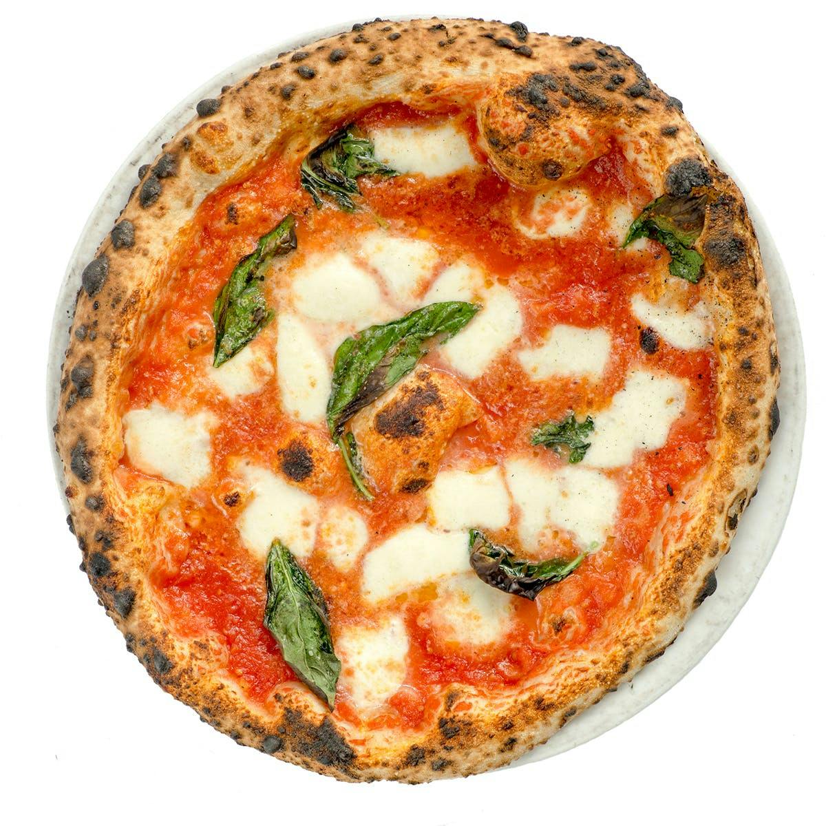 Neapolitan Pizza Best Seller - 6 Pack by Motorino Pizzeria - Alternate image 2