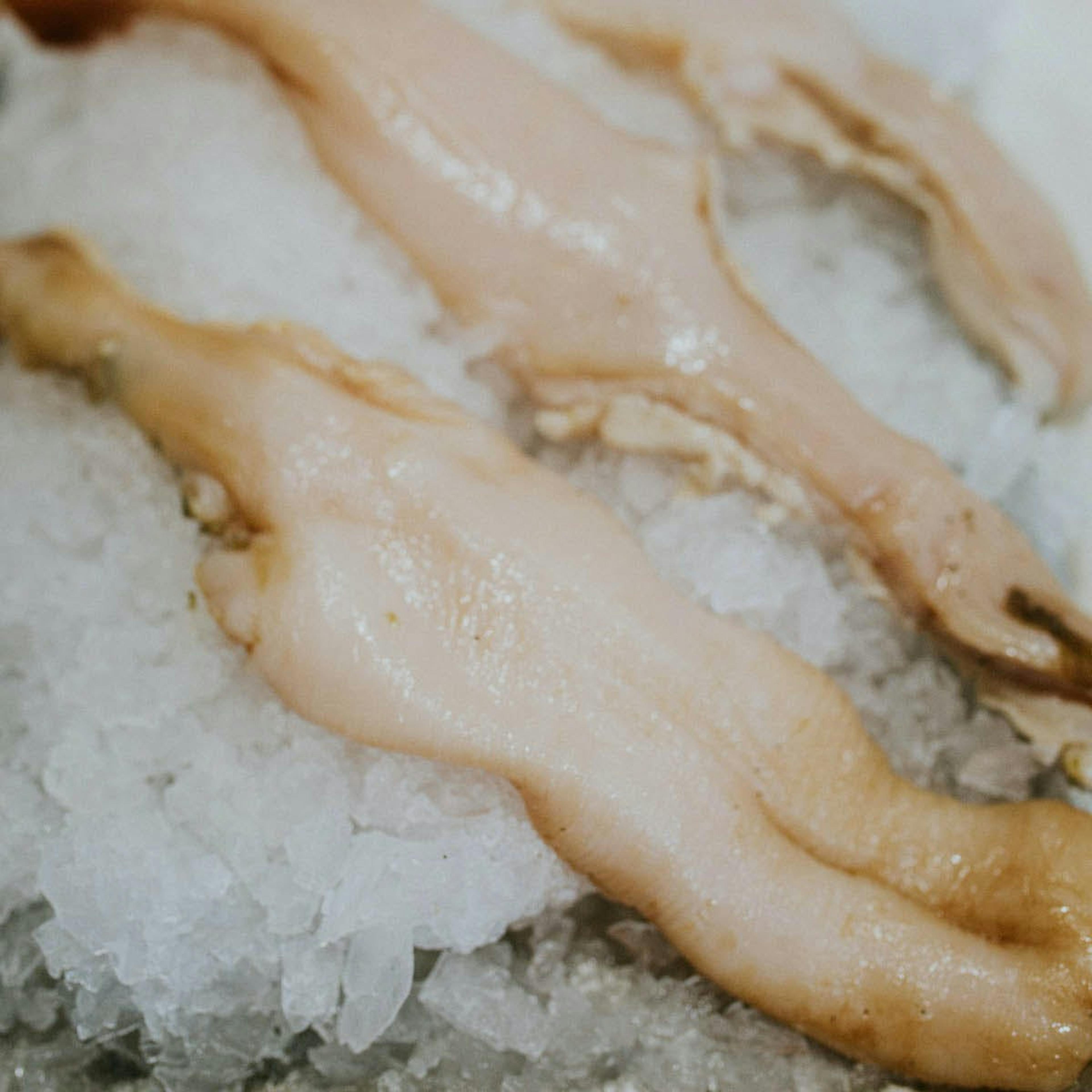 Geoduck – Raw, Cleaned and Shelled, 1lb by Pike Place Fish Market - Alternate image 1