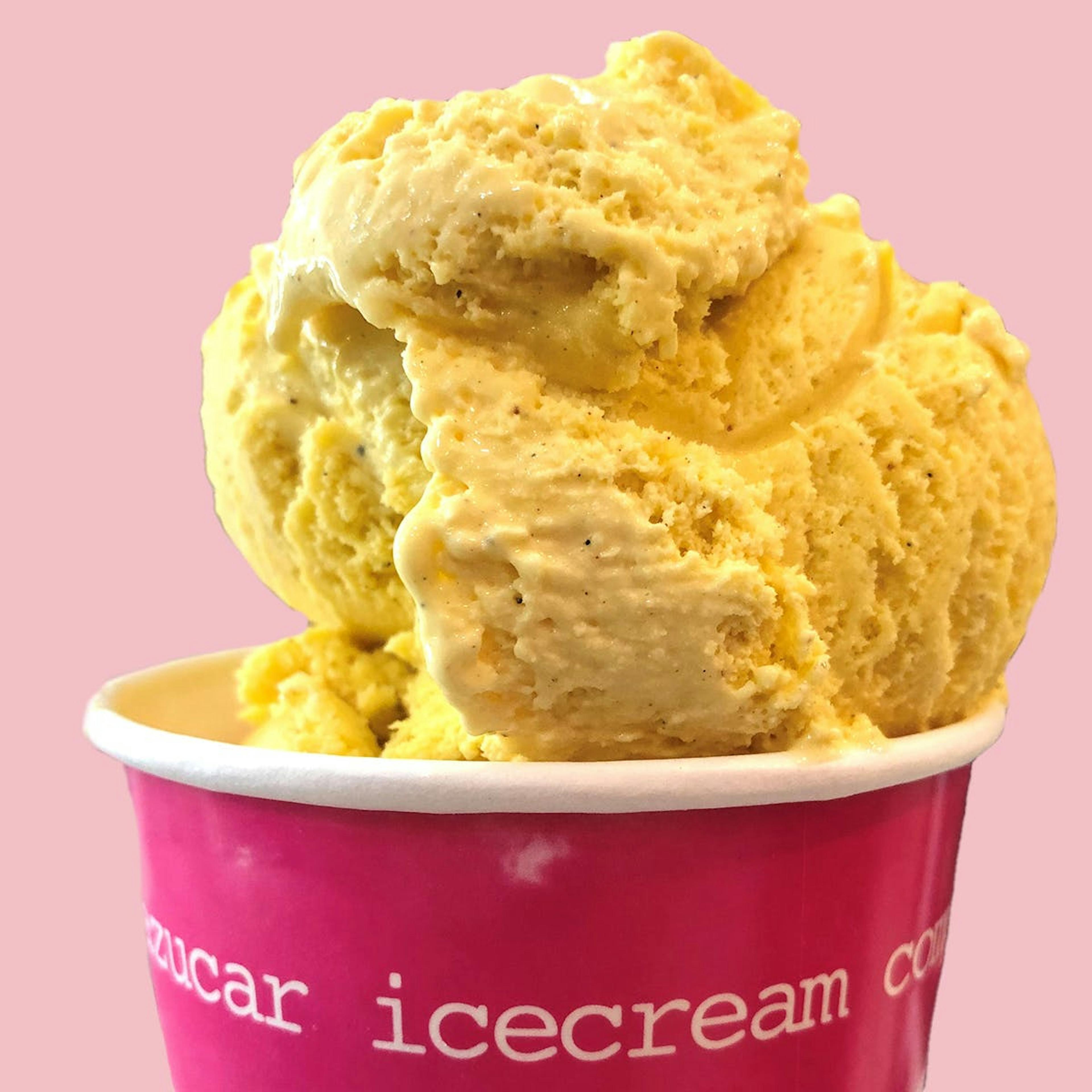 Mantecado Ice Cream - 6 Pints by Azucar Ice Cream